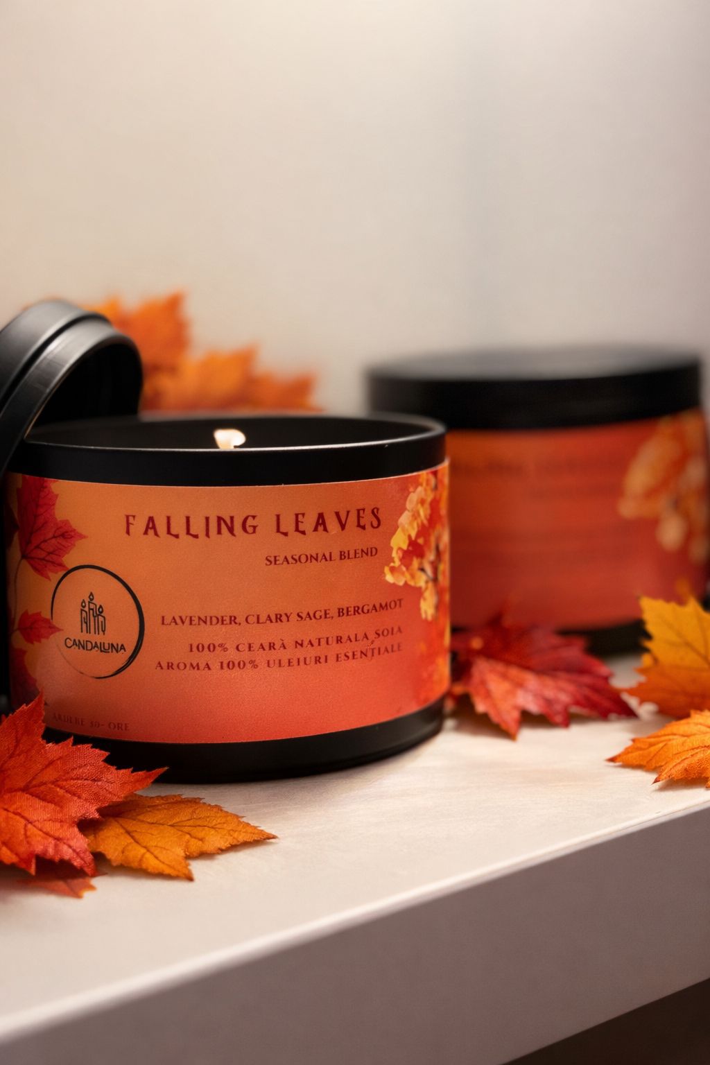 Falling Leaves